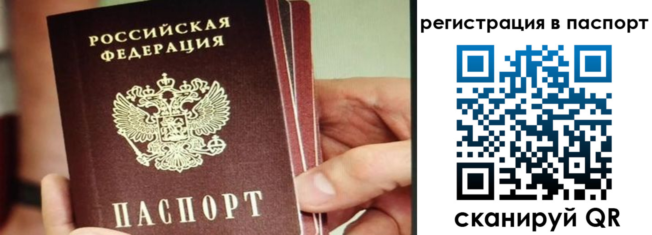 временная регистрация надежно в Заинске